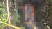 Jasad Membusuk Tanpa Identitas Ditemukan di Hutan Kereng Bangkirai, Polisi Masih Selidiki Penyebab Kematian