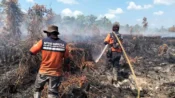 Satgas Karhutla Kalteng Perkuat Operasi Siaga Darurat, Kerahkan Armada Udara dan Darat