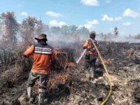 Satgas Karhutla Kalteng Perkuat Operasi Siaga Darurat, Kerahkan Armada Udara dan Darat