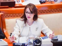 Karhutla Palangka Raya Berlarut, Andina Narang Dorong Kolaborasi Pemda dan Pemprov
