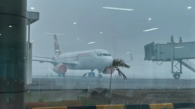 Lepas Landas dan Pendaratan di Bandara Tjilik Riwut Lumpuh Total Akibat Kabut Asap