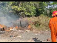 Diduga Dibakar, Karhutla Muncul di G. Obos 24