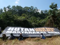 Hutan Tongka dan Perjuangan Dayak Taboyan Menjaga Warisan Leluhur