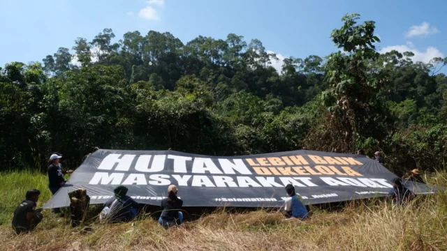 Hutan Tongka dan Perjuangan Dayak Taboyan Menjaga Warisan Leluhur