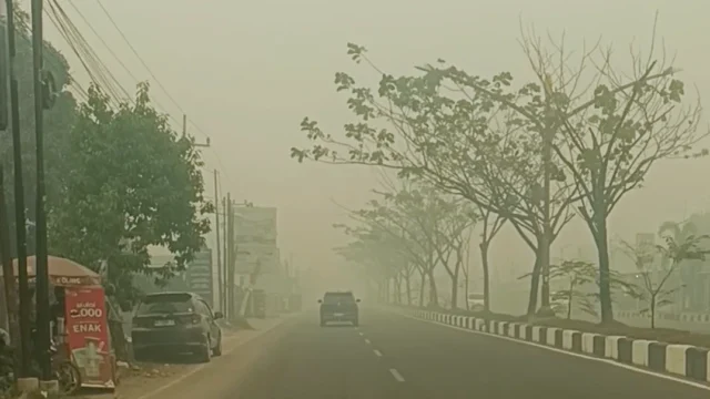 Menembus Asap, Menemukan Borneo yang Berbeda