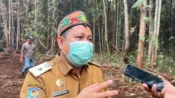 Evaluasi Karhutla Kalteng, Pengaktifan 6 Pesawat Water Bombing Terkendala Jarak Pandang