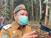 Evaluasi Karhutla Kalteng, Pengaktifan 6 Pesawat Water Bombing Terkendala Jarak Pandang