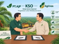 Agrinas Pastikan KSO dengan AJP Masih Berlaku hingga 2028
