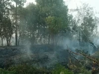 DPP GAMKI Sebut Pembentukan BPGMN Perlu Tata Kelola Terencana